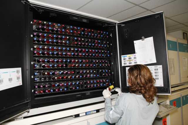 Pathology Residency Program | Montefiore Einstein