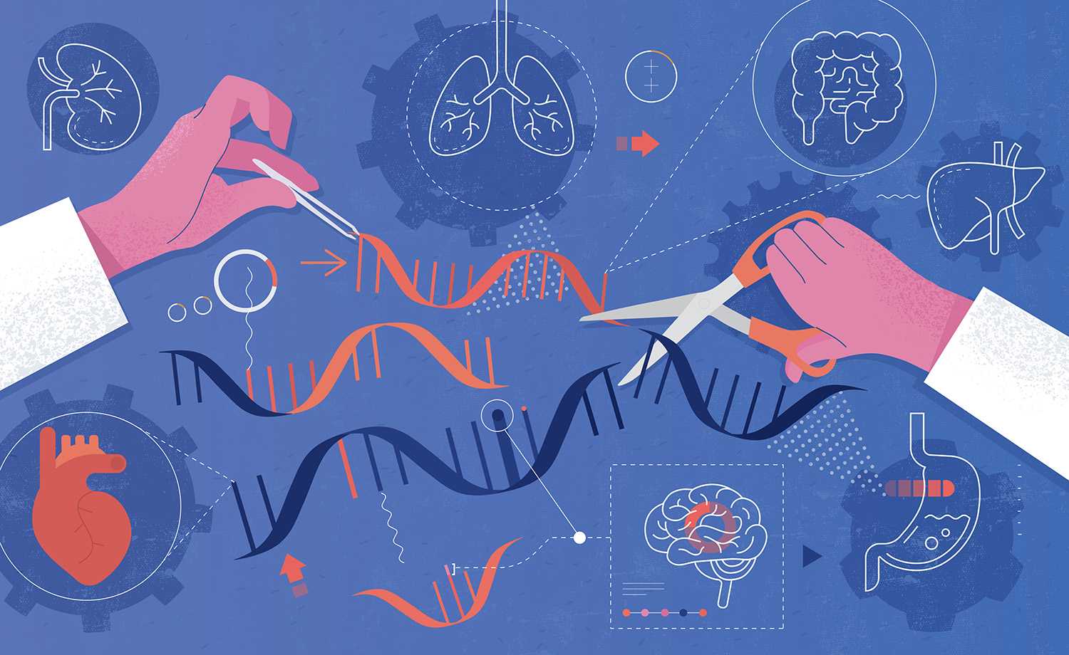 Functional Genomics of the Pediatric Obese Asthma Phenotype Reveal Enrichment of Rho-GTPase Pathways