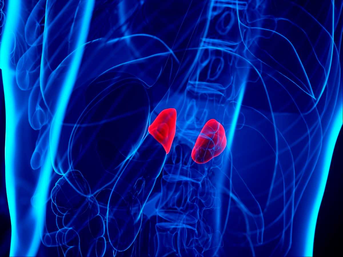 Early Onset Primary Adrenal Insufficiency in Males with Adrenoleukodystrophy: Case Series and Literature Review