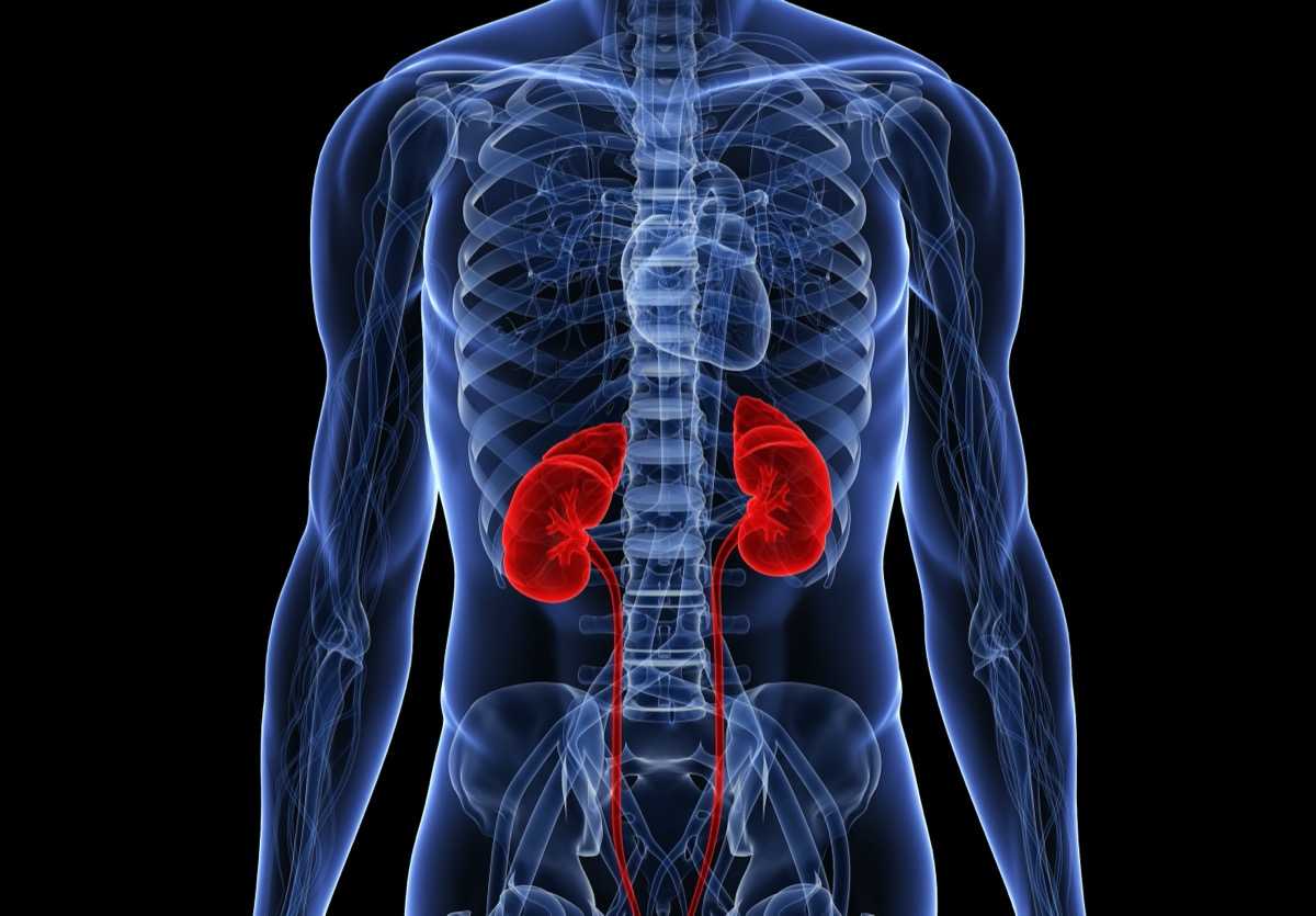 Tubular-cell and Keratinocyte Single-cell Transcriptomics Applied to Lupus Nephritis Reveal Type I IFN and Fibrosis Relevant Pathways