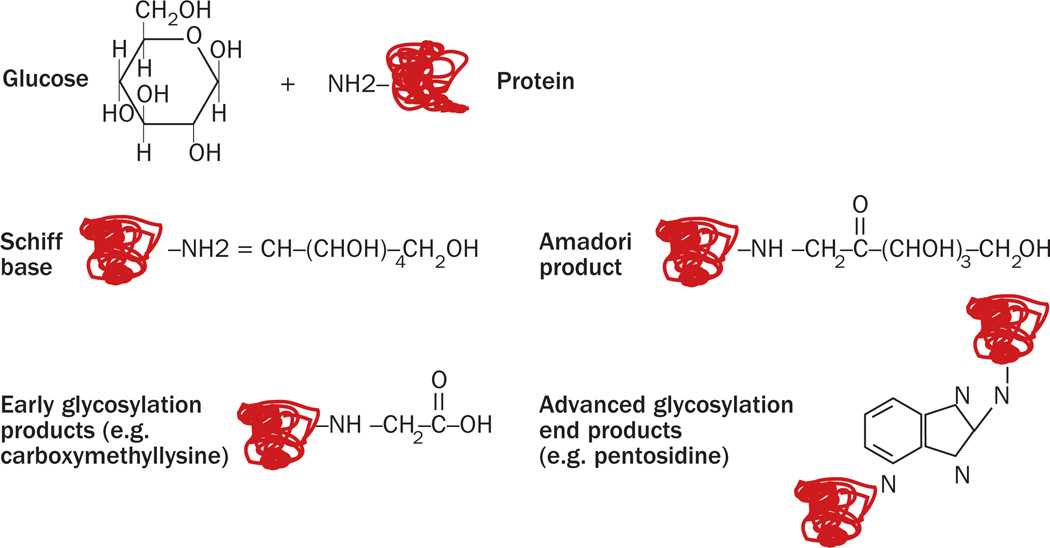 Consequences of Metabolic and Oxidative Modifications of Cartilage Tissue