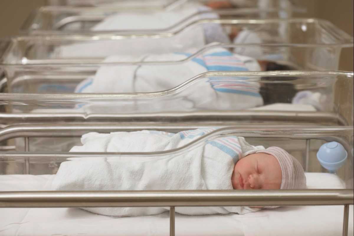 Ascertaining Newborn Nursery Provider Practices Regarding Thyroid Function Testing in Healthy Term Newborns