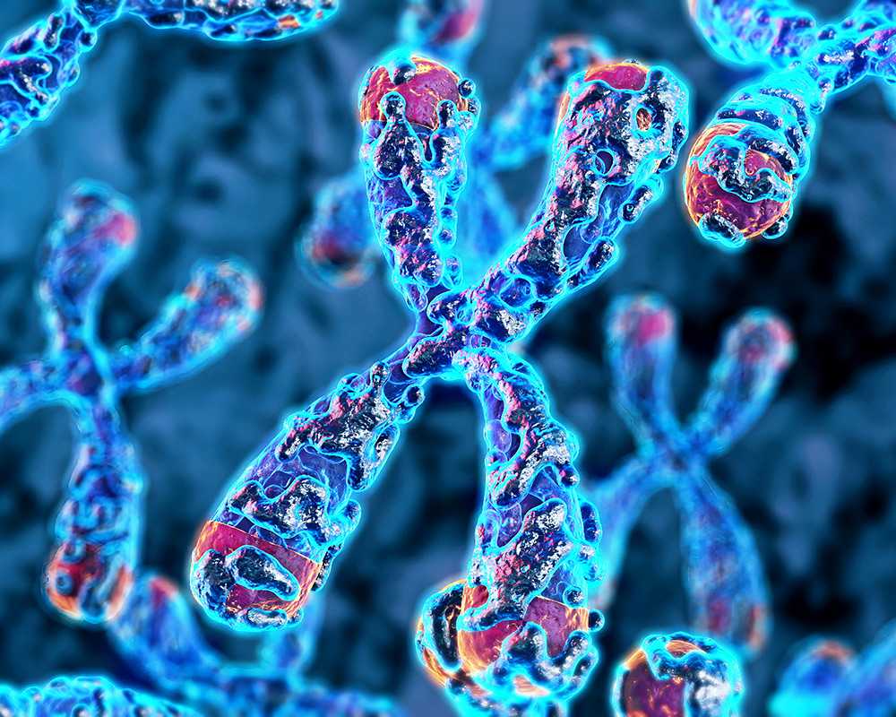 Preimplantation Genetic Testing for Aneuploidy is Associated with Reduced Live Birth Rates in Fresh but not Frozen Donor Oocyte In Vitro Fertilization Cycles