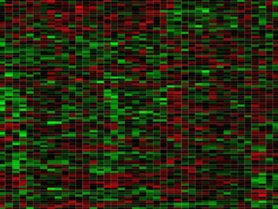 Optimal Targeting of Bcl-family Proteins in Head and Neck Squamous Cell Carcinoma Requires Inhibition of Both Bcl-xl and Mcl-1