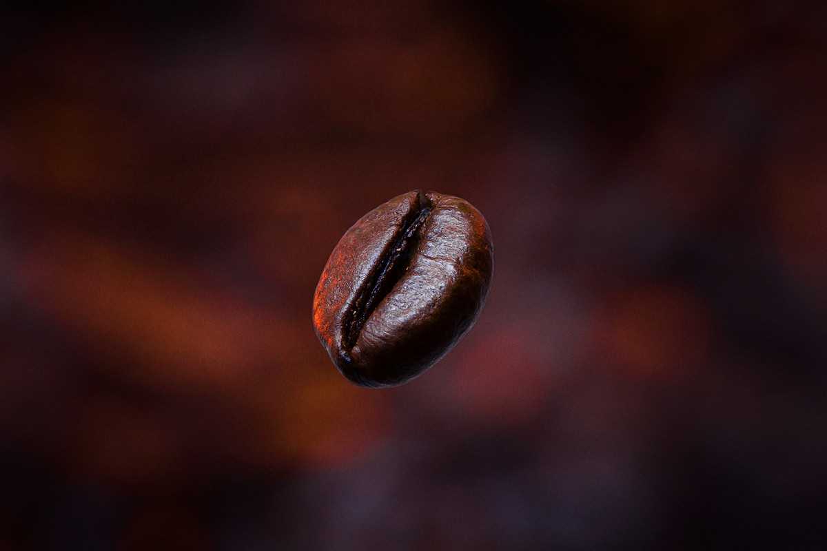 Caffeine disrupts ataxia telangiectasia mutated gene-related pathways and exacerbates acetaminophen toxicity in human fetal immortalized hepatocytes