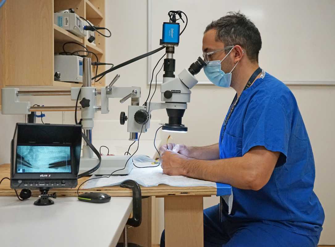 Man in scrubs using a microscope with video output
