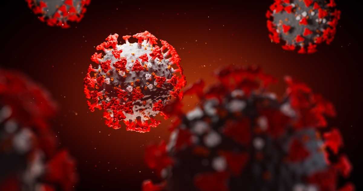 COVID-19 and Kidney Transplantation