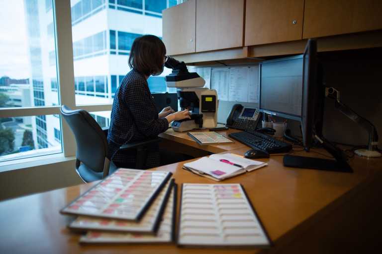 Pathology Residency Program | Montefiore Einstein