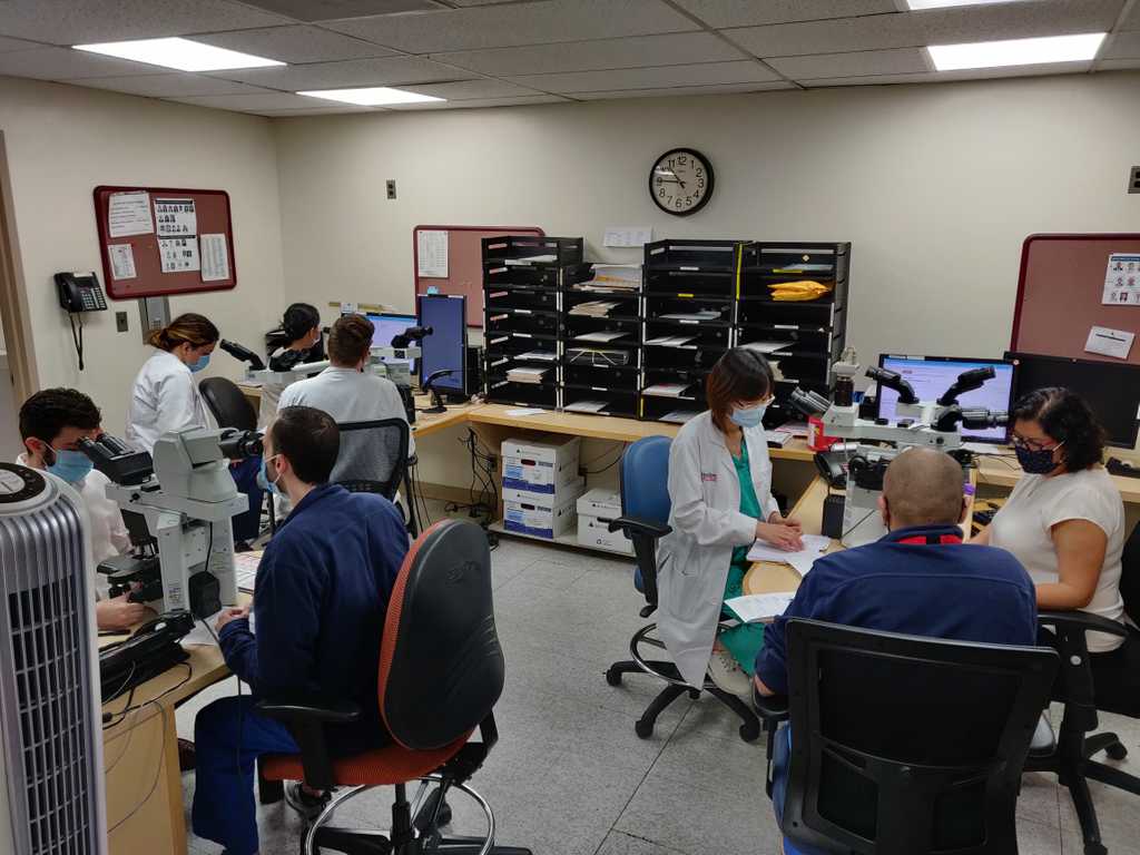 Pathology Residency Program | Montefiore Einstein