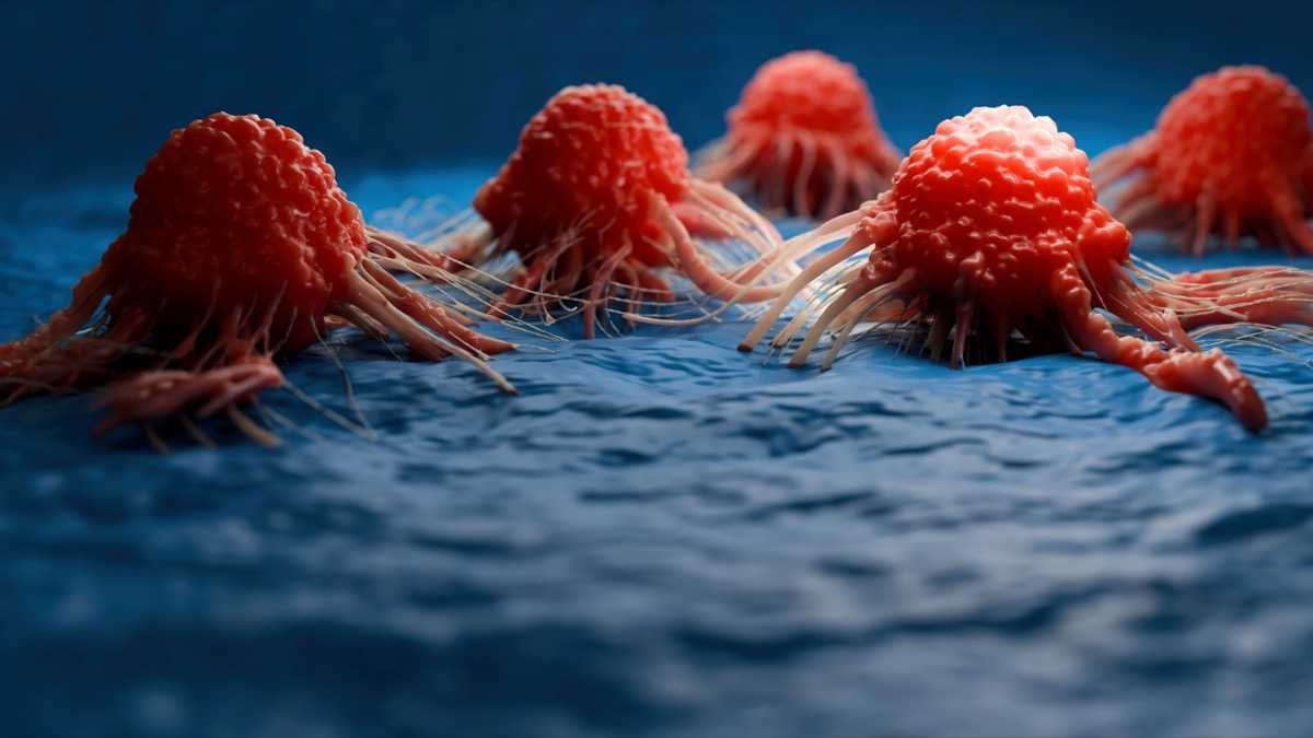 Immunotherapy for ovarian cancer is improved by tumor-targeted delivery of a neoantigen surrogate