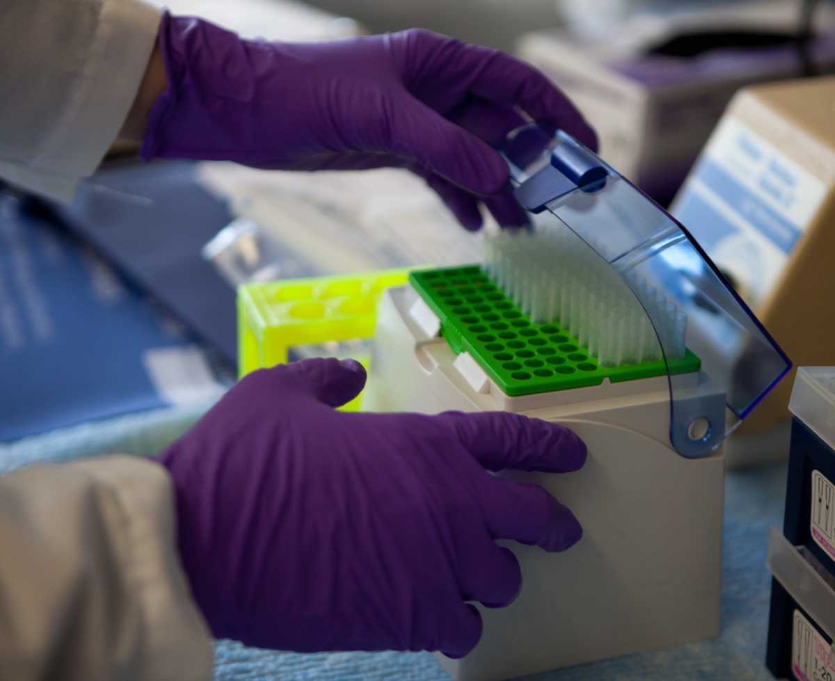 North American ATLL has a Distinct Mutational and Transcriptional Profile and Responds to Epigenetic Therapies